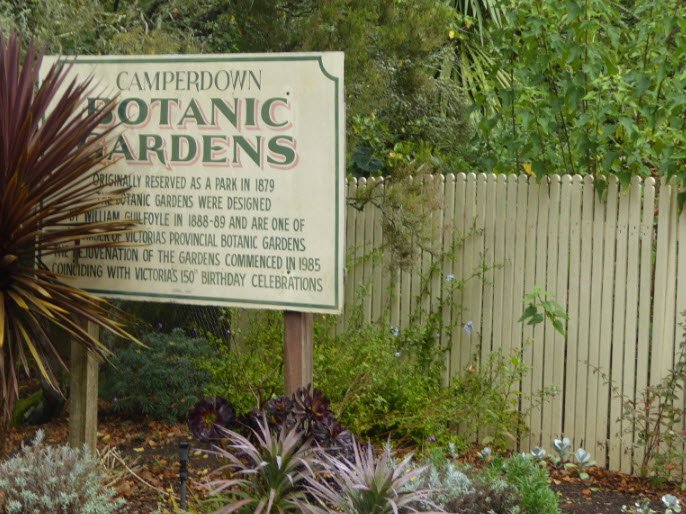 Camperdown Botanic Gardens, Australia